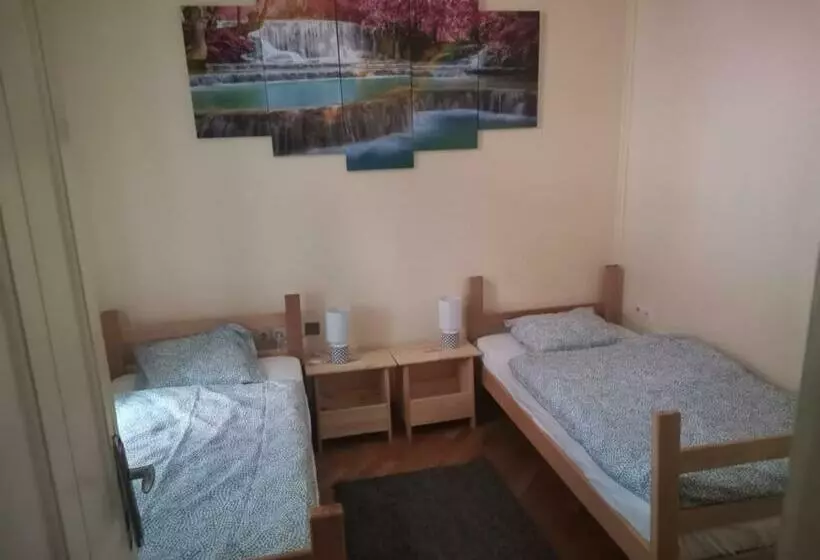 هاستل Cozy Palace