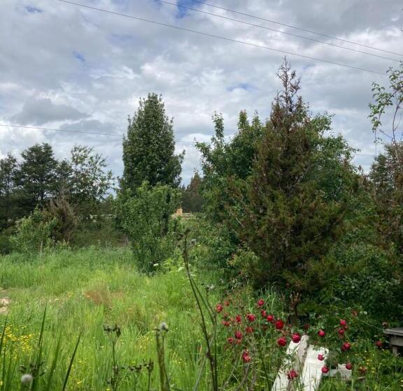 ベッドアンドブレックファースト Hostal Flor Del Meli