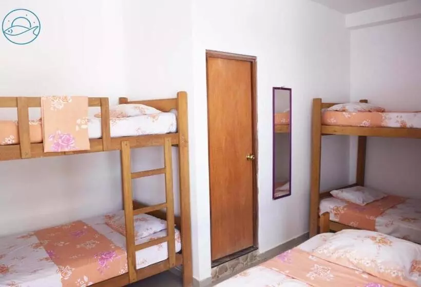 Hotel Hospedaje Sumarfe