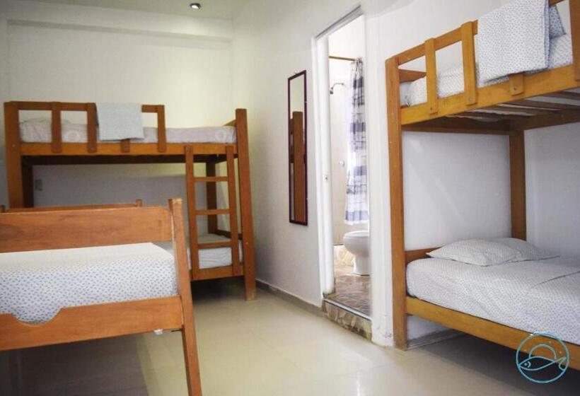 Hotel Hospedaje Sumarfe