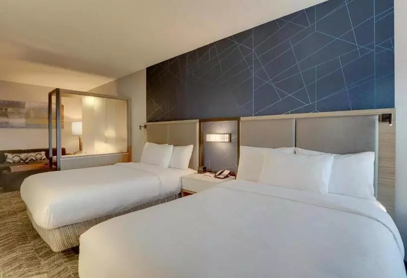 Hotelli Springhill Suites By Marriott Cheraw