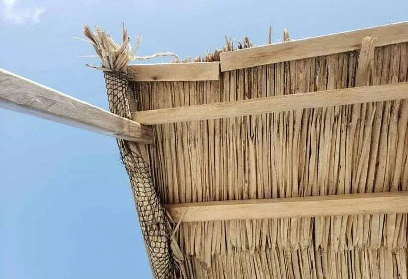 پانسیون Twin Palms Surfhouse