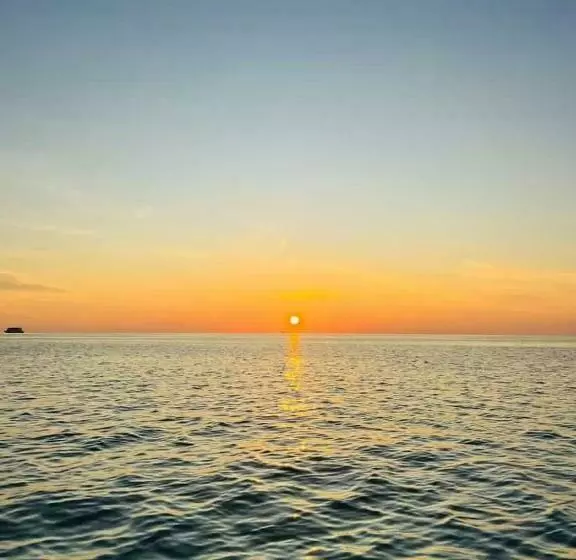 پانسیون Twin Palms Surfhouse