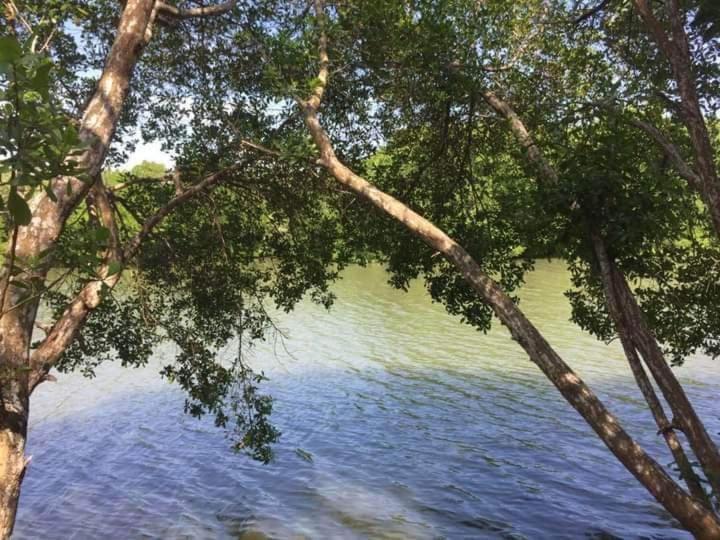 펜션 Ohm Lagoon Home