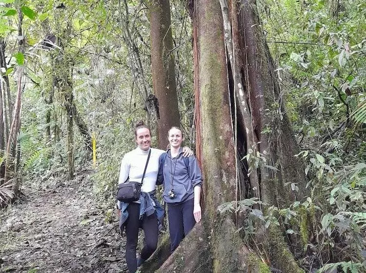 Sendero De Las Aves