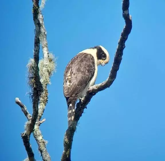 Sendero De Las Aves