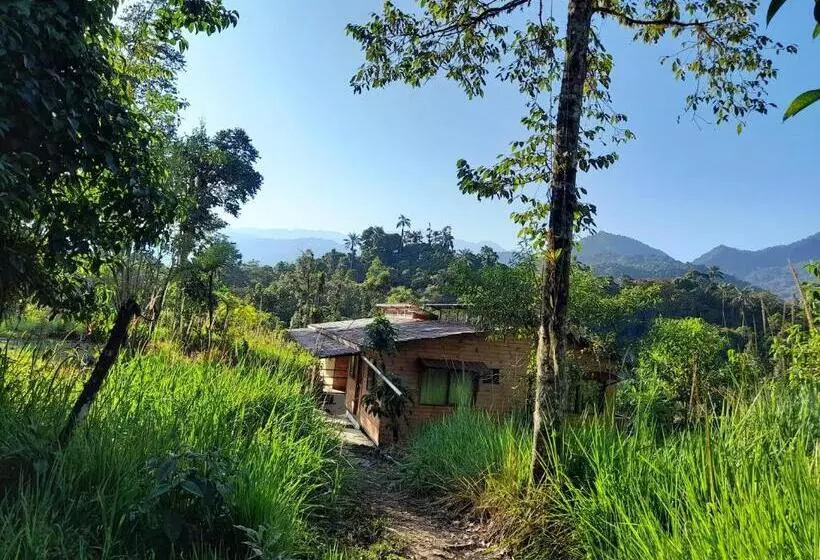 Sendero De Las Aves