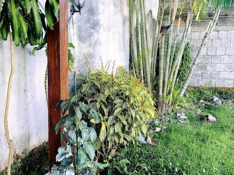 住宿加早餐 Bin Bed&breakfast