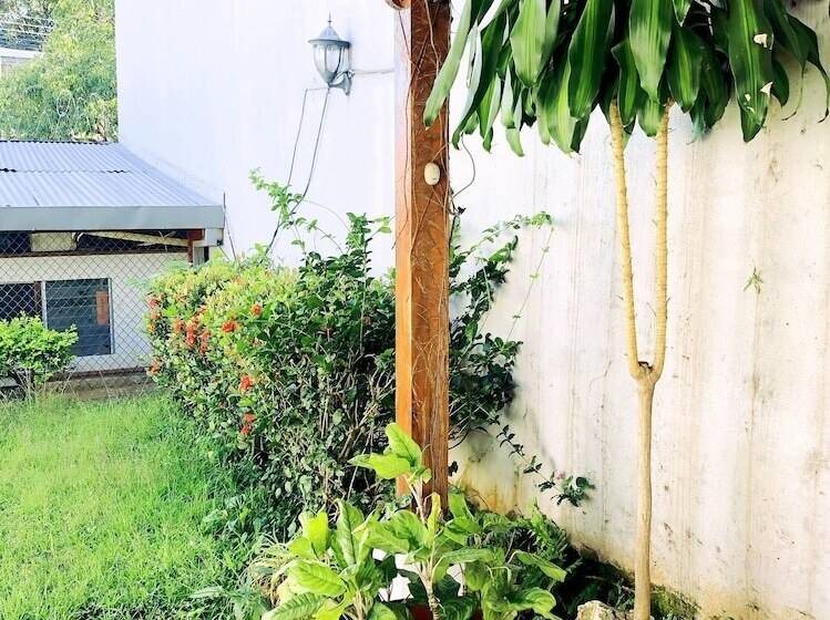 住宿加早餐 Bin Bed&breakfast