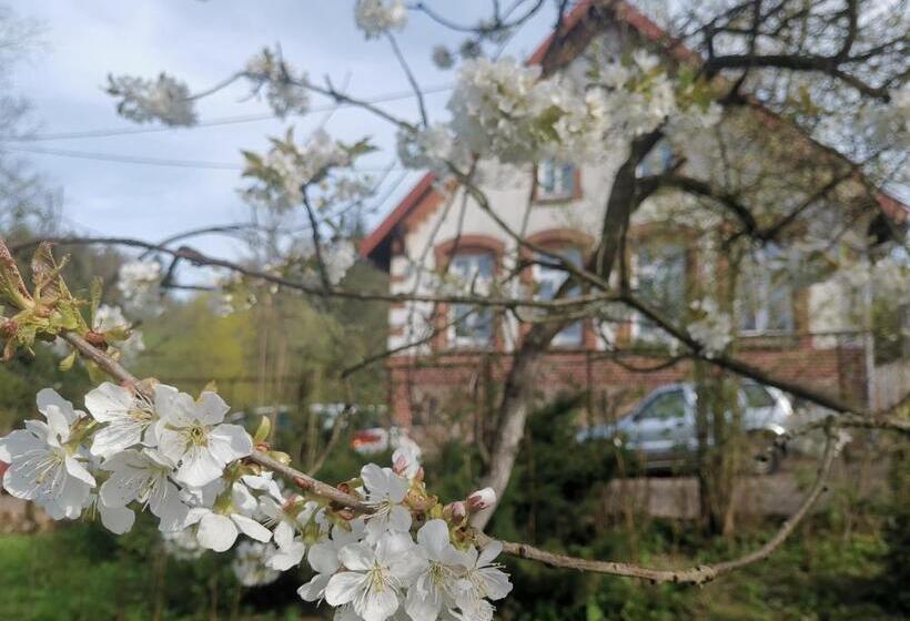 مبيت وإفطار Zaczarowalim Dom W Górach Sowich