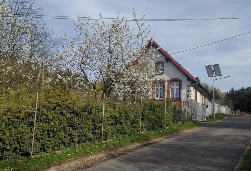 مبيت وإفطار Zaczarowalim Dom W Górach Sowich