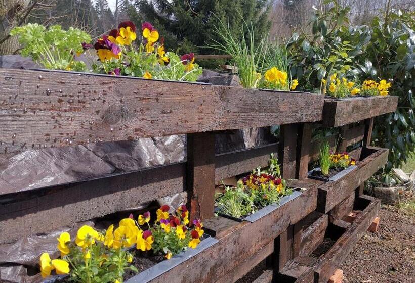 مبيت وإفطار Zaczarowalim Dom W Górach Sowich