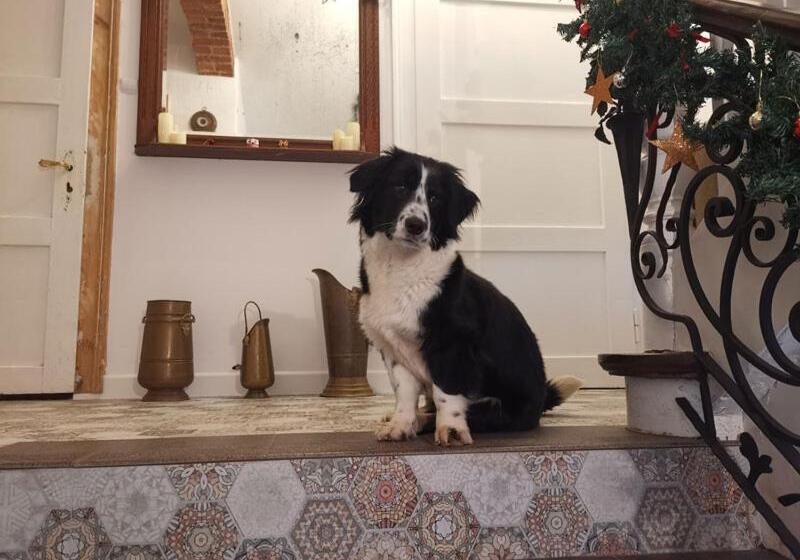 مبيت وإفطار Zaczarowalim Dom W Górach Sowich