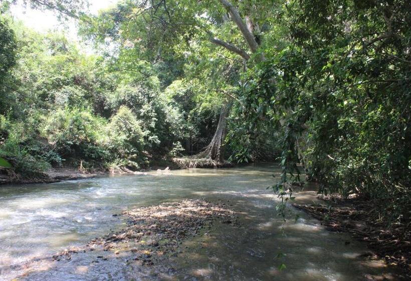 Forest Tree Top Holiday Resort