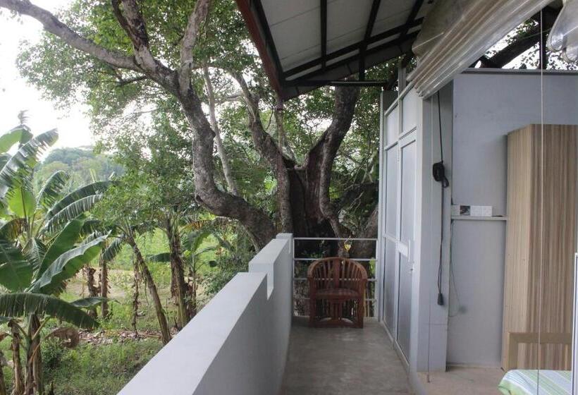 Forest Tree Top Holiday Resort