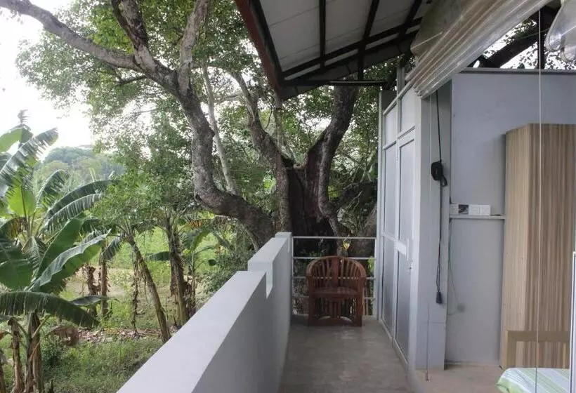 Forest Tree Top Holiday Resort