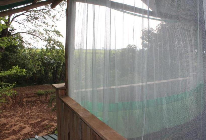 Forest Tree Top Holiday Resort