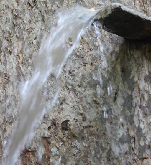 Forest Tree Top Holiday Resort