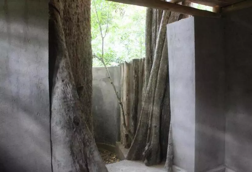 Forest Tree Top Holiday Resort