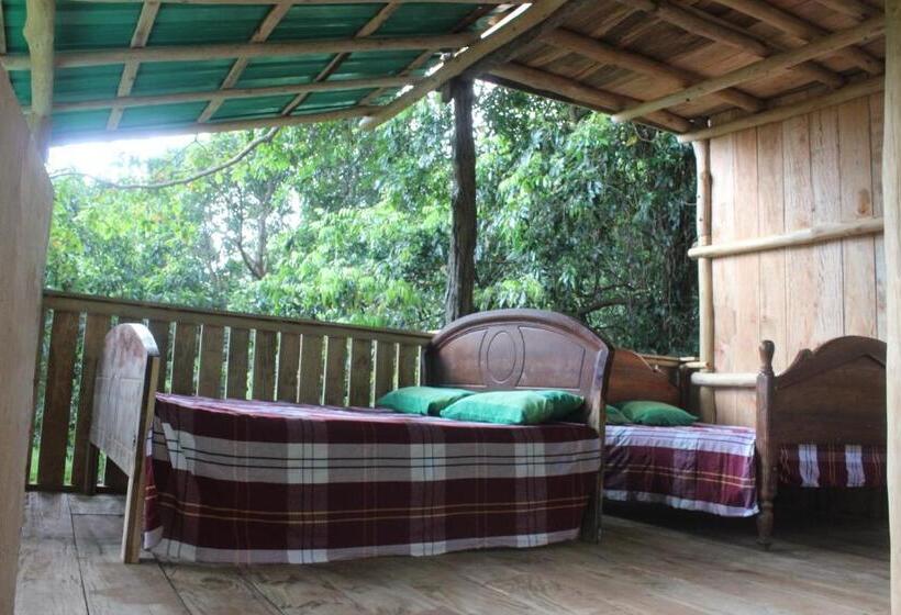 Forest Tree Top Holiday Resort