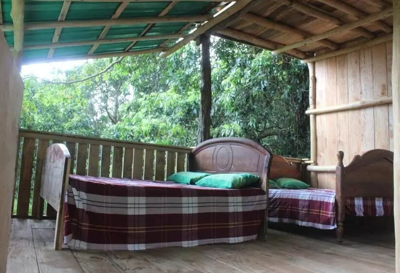 Forest Tree Top Holiday Resort
