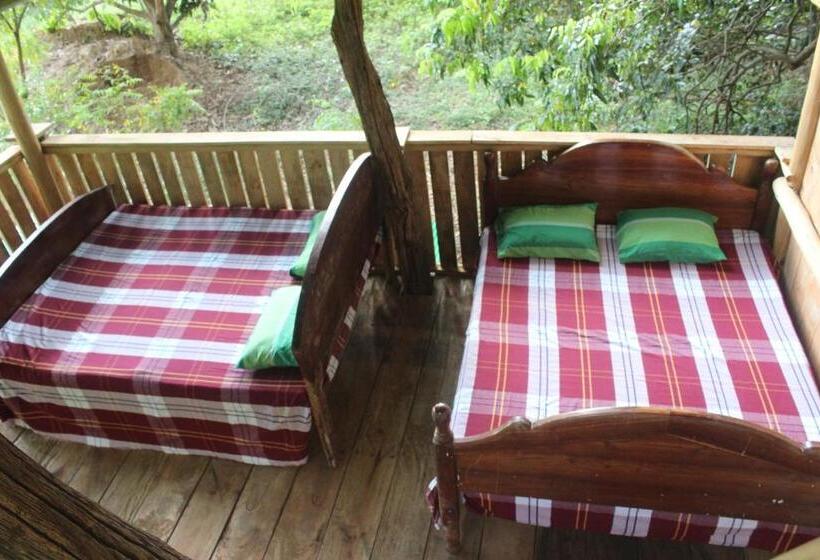 Forest Tree Top Holiday Resort