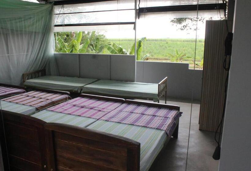 Forest Tree Top Holiday Resort