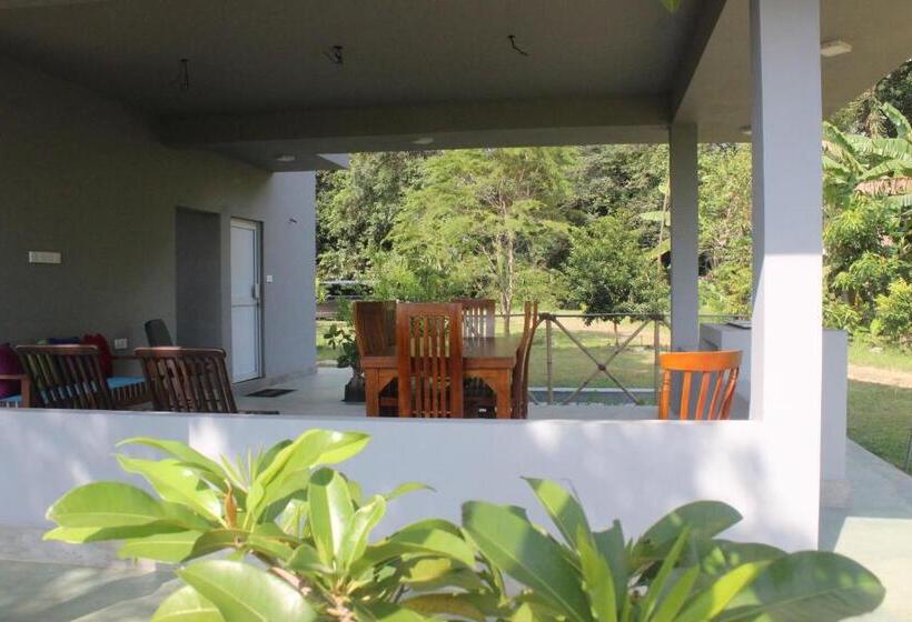 Forest Tree Top Holiday Resort