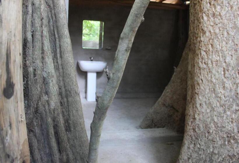 Forest Tree Top Holiday Resort