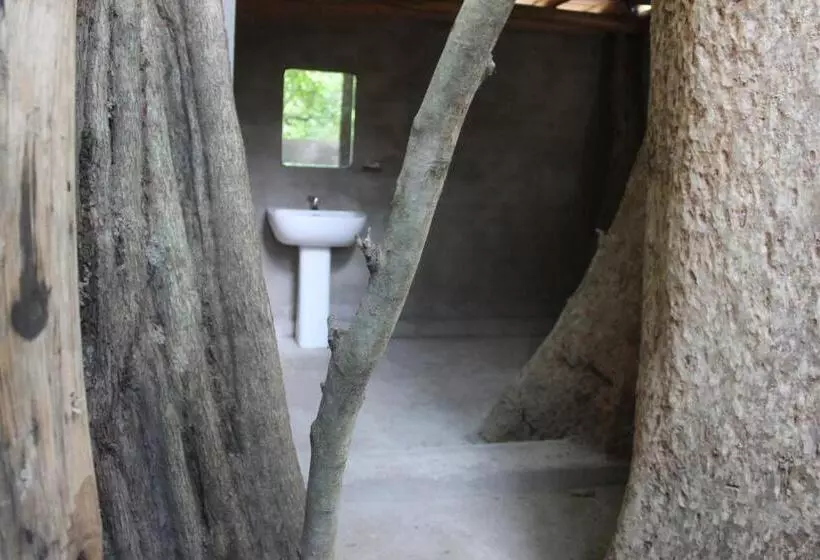 Forest Tree Top Holiday Resort