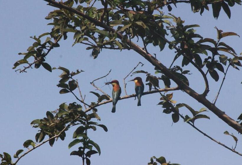 Forest Tree Top Holiday Resort