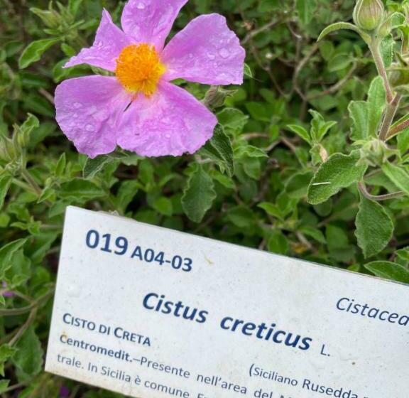 ホテル Masseria Santa Barbara