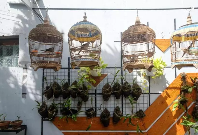 ホテル Reddoorz Syariah Near Kampus Unsoed Purwokerto