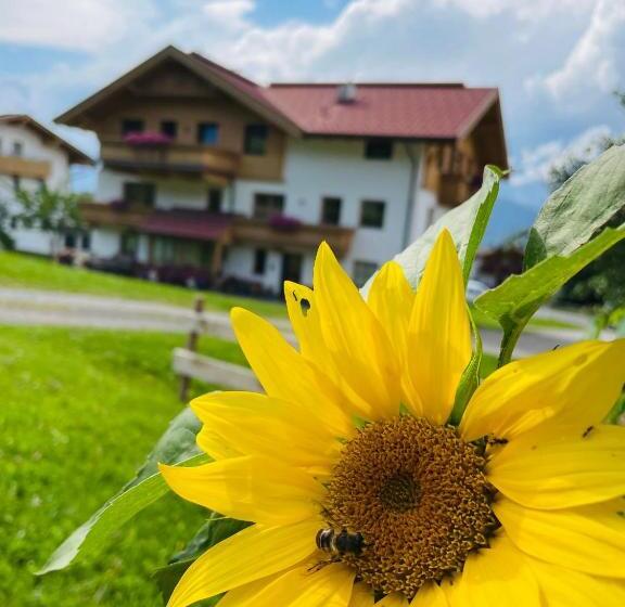 Отель Schneiderhof