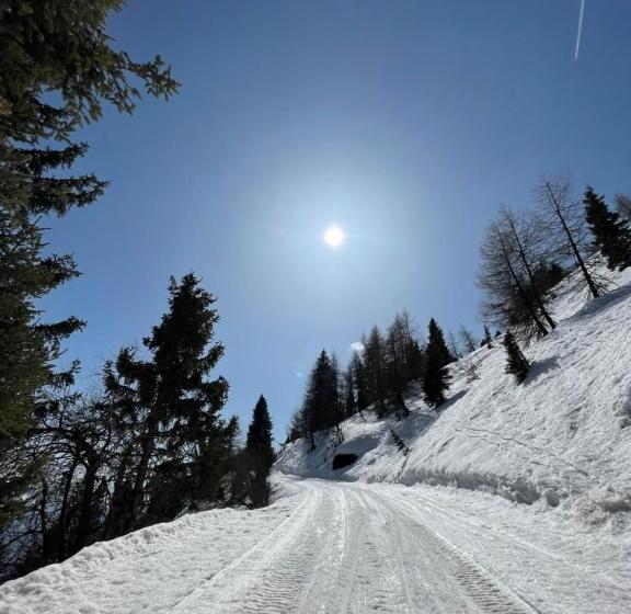 Отель Schneiderhof