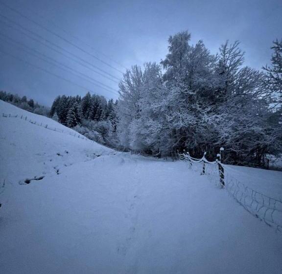 Отель Schneiderhof