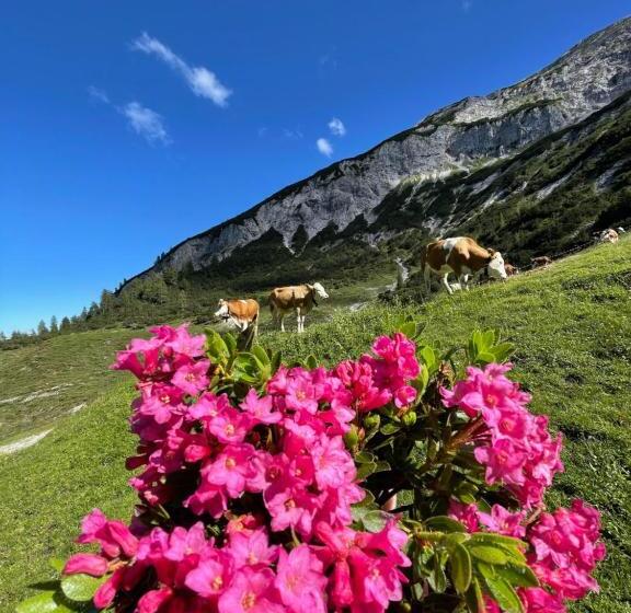 Отель Schneiderhof