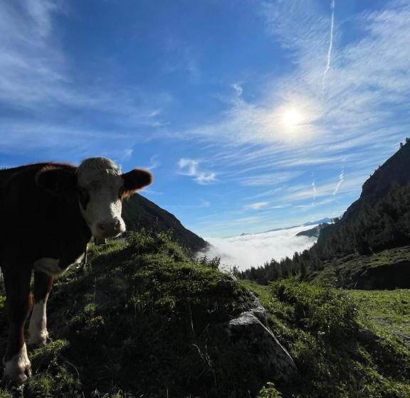 Отель Schneiderhof