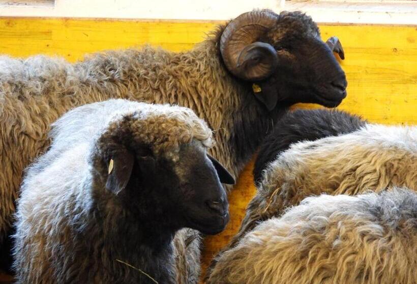 Отель Schneiderhof