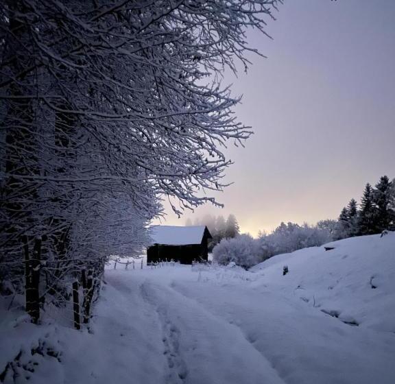 Отель Schneiderhof