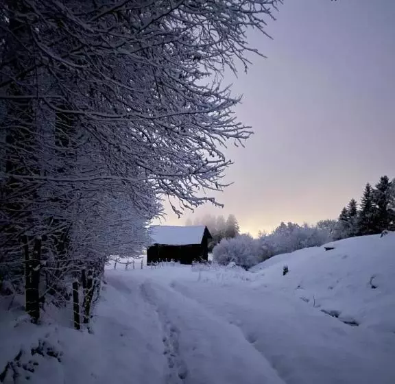 ホテル Schneiderhof