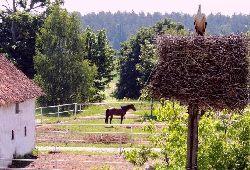 ホテル Stadnina Koni Kierzbuń