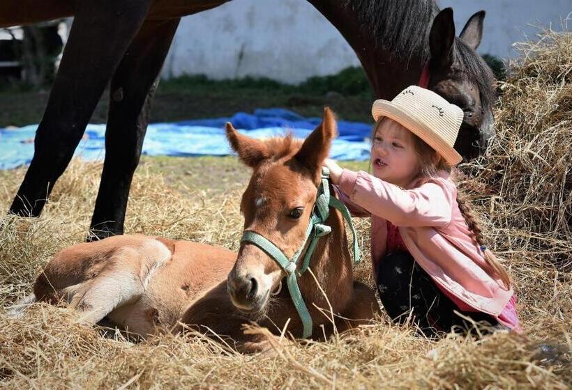 בית מלון כפרי Stadnina Koni Kierzbuń