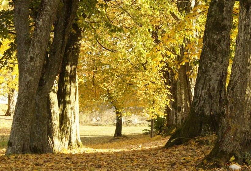 בית מלון כפרי Stadnina Koni Kierzbuń