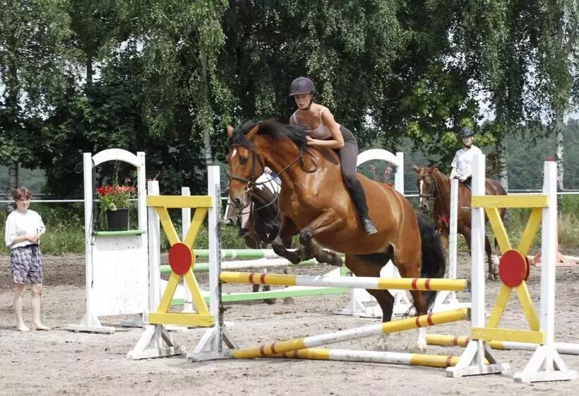 ホテル Stadnina Koni Kierzbuń