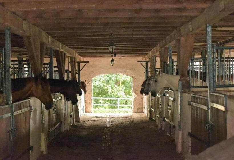 בית מלון כפרי Stadnina Koni Kierzbuń