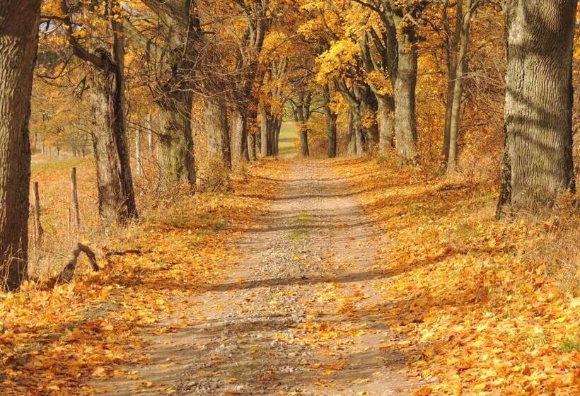 בית מלון כפרי Stadnina Koni Kierzbuń