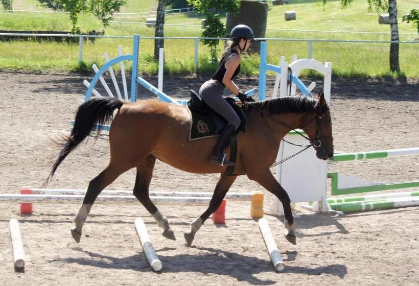 בית מלון כפרי Stadnina Koni Kierzbuń