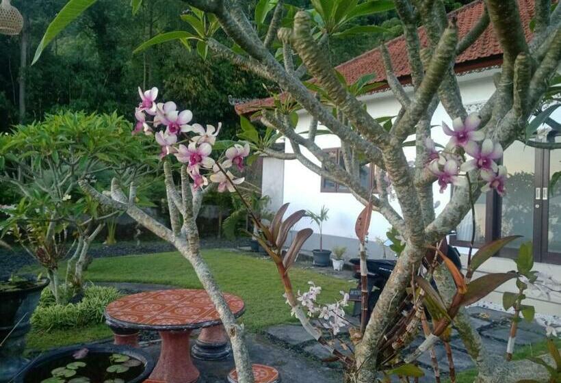 膳宿费 Pondok Pohucu Guest House