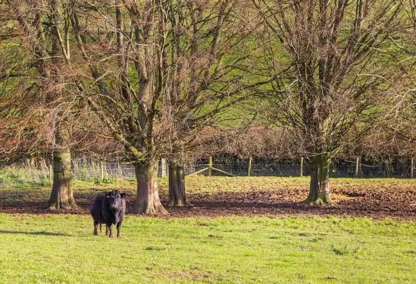ペンション The Retreat, Sauna & Hot Tub, Charming & Cosy Gem